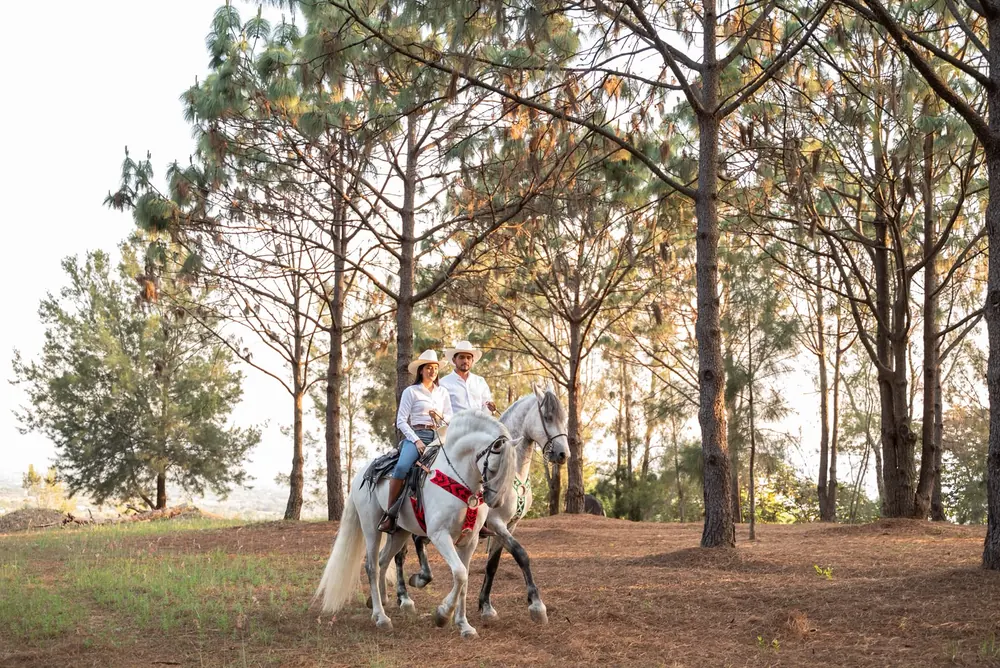 Estephany y Jorge a caballo entre los pinos